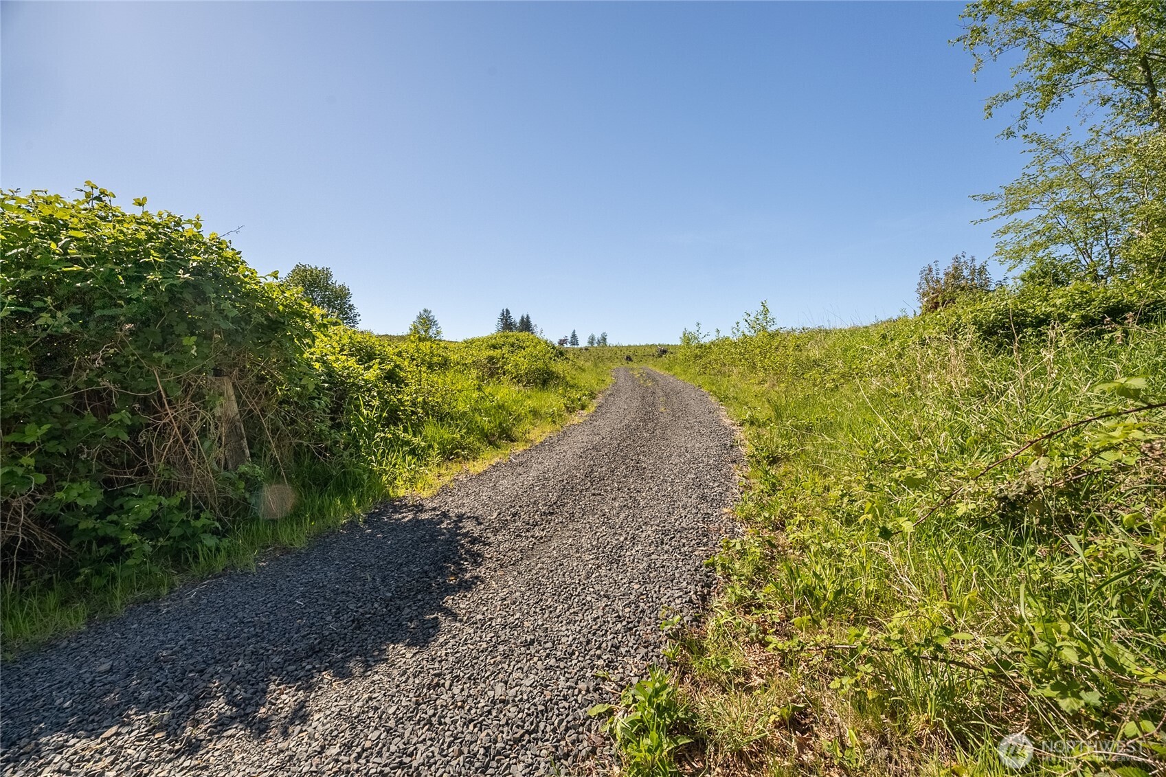 195 Hagen Road Mossyrock WA 98564