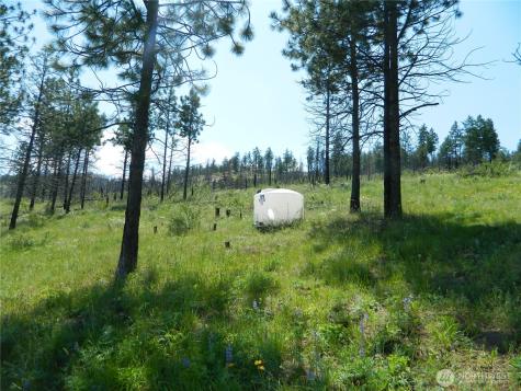 428 Five Mile Road Tonasket WA 98855