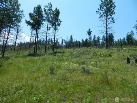428 Five Mile Road Tonasket WA 98855