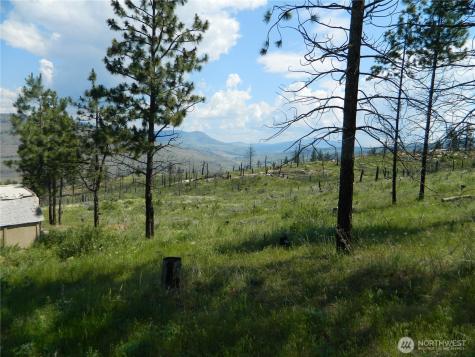428 Five Mile Road Tonasket WA 98855