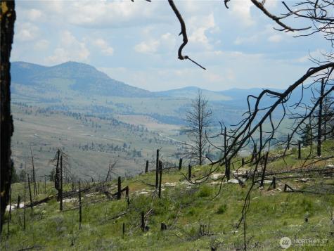 428 Five Mile Road Tonasket WA 98855