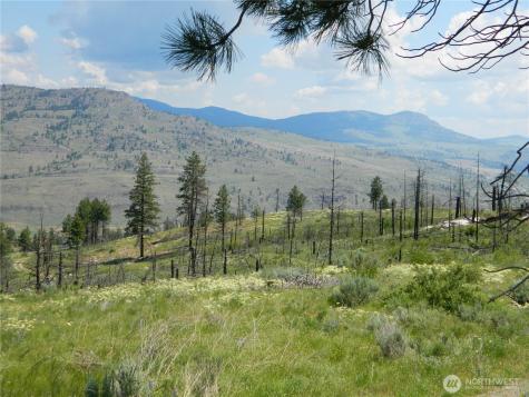 428 Five Mile Road Tonasket WA 98855