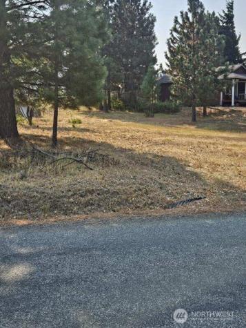 1120 Sunlight Drive Cle Elum WA 98922