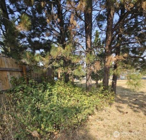 1120 Sunlight Drive Cle Elum WA 98922