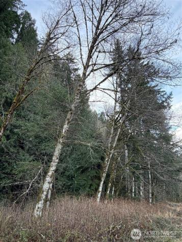 0 Us Highway 12 White Pass WA 98377