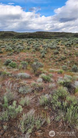 0 Lot 7 Singletree Drive Ephrata WA 98823