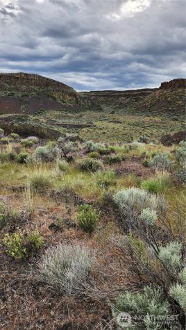 0 Lot 7 Singletree Drive Ephrata WA 98823