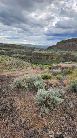 0 Lot 7 Singletree Drive Ephrata WA 98823