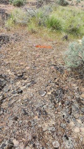 0 Lot 7 Singletree Drive Ephrata WA 98823