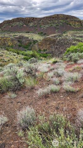 0 Lot 7 Singletree Drive Ephrata WA 98823