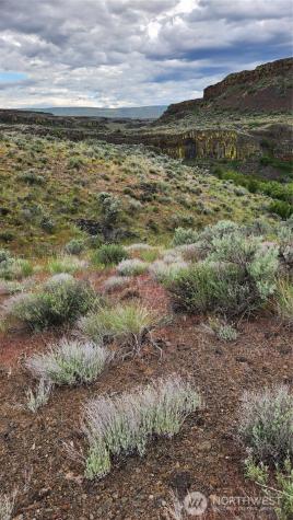 0 Lot 7 Singletree Drive Ephrata WA 98823