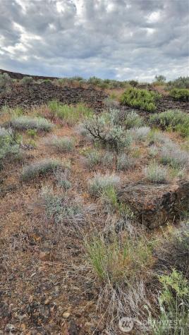 0 Lot 7 Singletree Drive Ephrata WA 98823