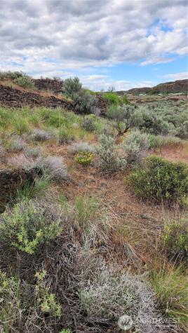 0 Lot 7 Singletree Drive Ephrata WA 98823