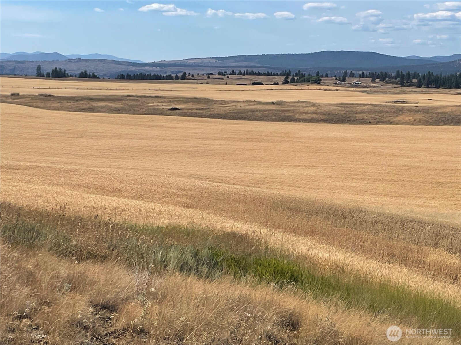 35251 Crescent Road N Reardan WA 99029