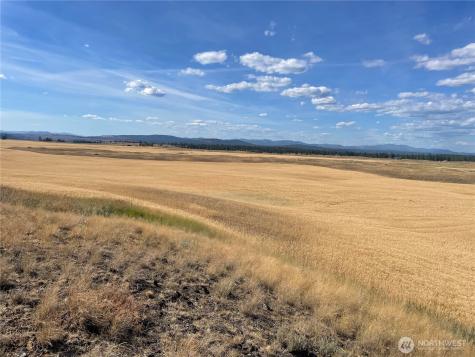 35251 Crescent Road N Reardan WA 99029