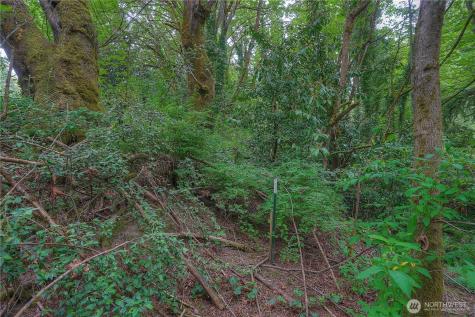 0 Agnes Road NE Tacoma WA 98422