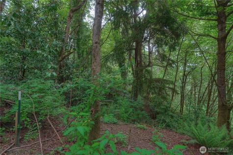 0 Agnes Road NE Tacoma WA 98422