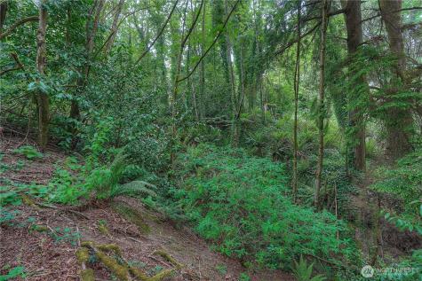 0 Agnes Road NE Tacoma WA 98422