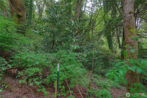 0 Agnes Road NE Tacoma WA 98422