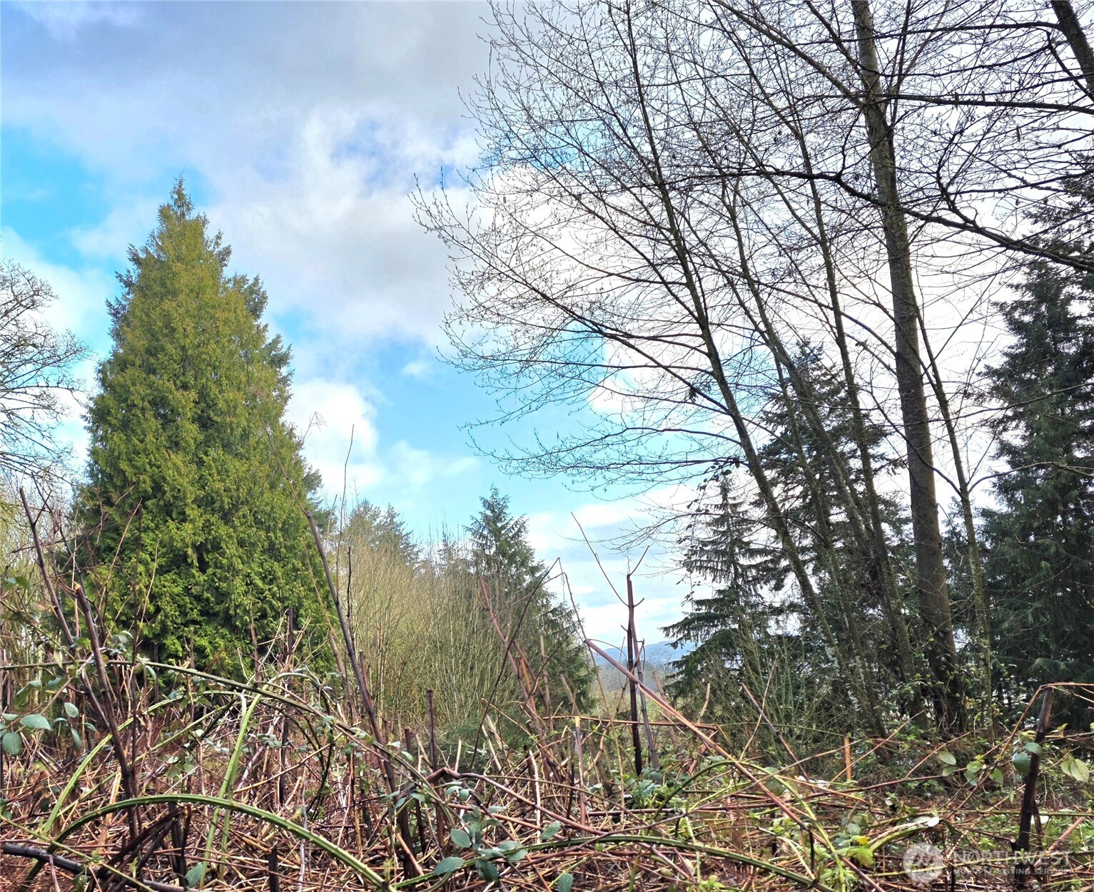 21211 35th Avenue S Seatac WA 98198