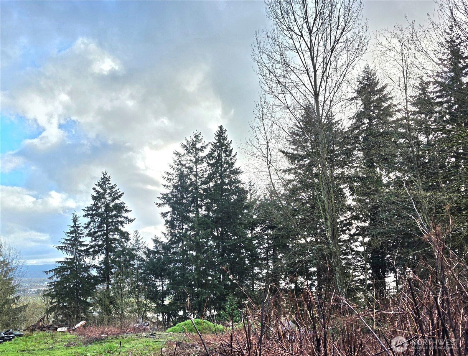 21211 35th Avenue S Seatac WA 98198