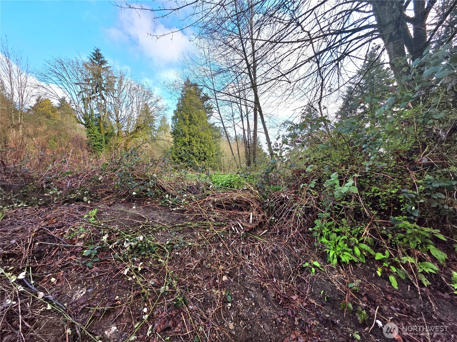 21211 35th Avenue S Seatac WA 98198