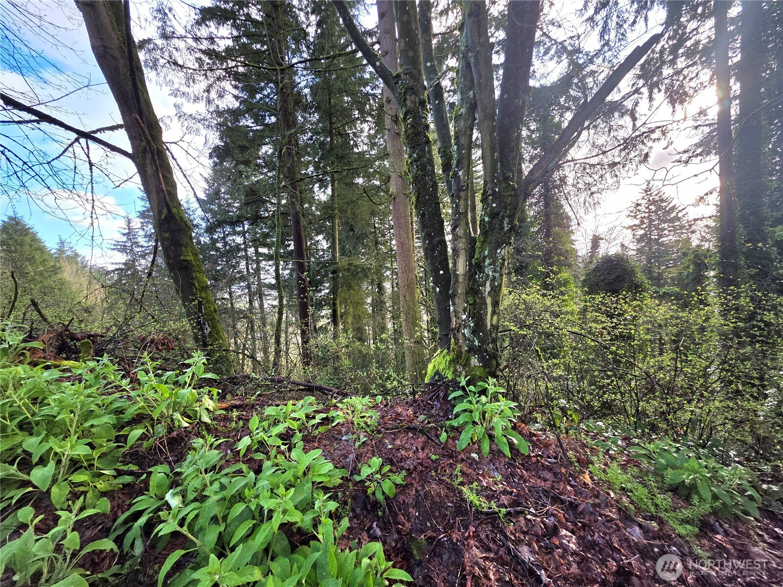 21211 35th Avenue S Seatac WA 98198