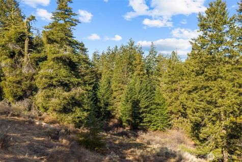 104 Yarrow Lane East Wenatchee WA 98802