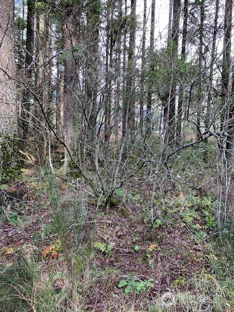 450 SE North Bend Way North Bend WA 98045
