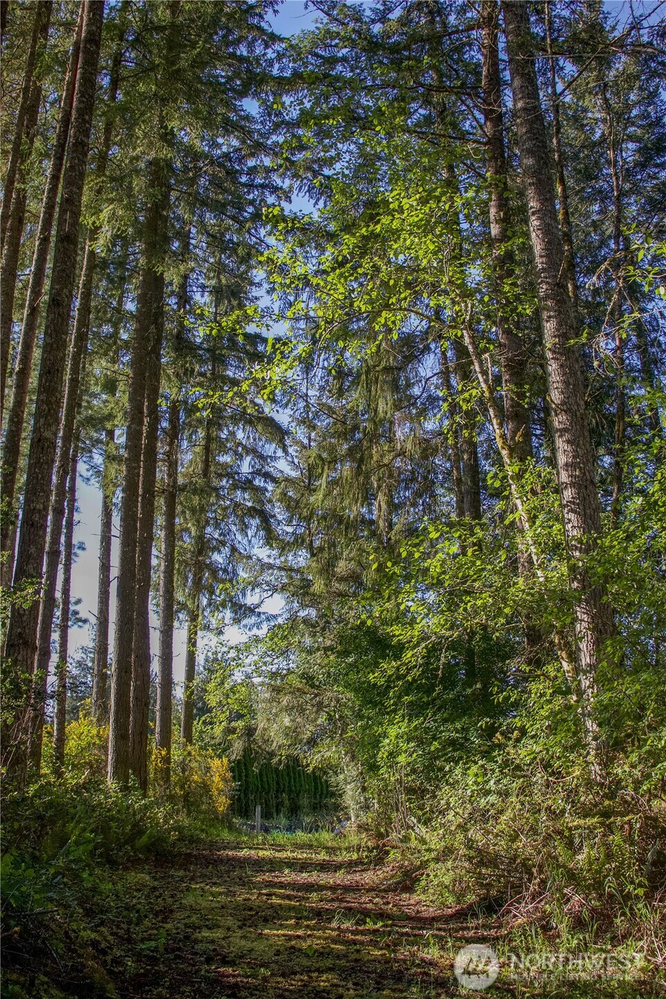3021 NW Beth Lane Poulsbo WA 98370