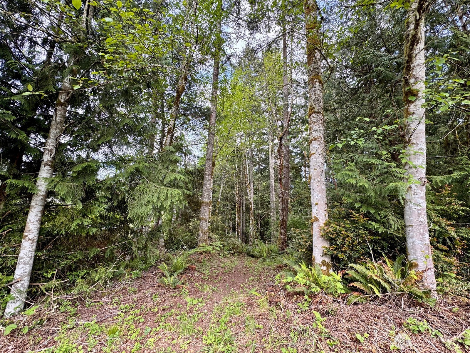 3021 NW Beth Lane Poulsbo WA 98370