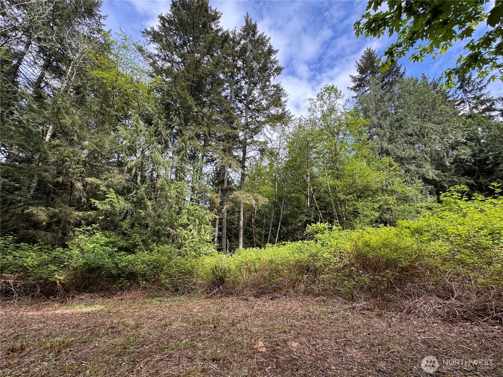 3021 NW Beth Lane Poulsbo WA 98370