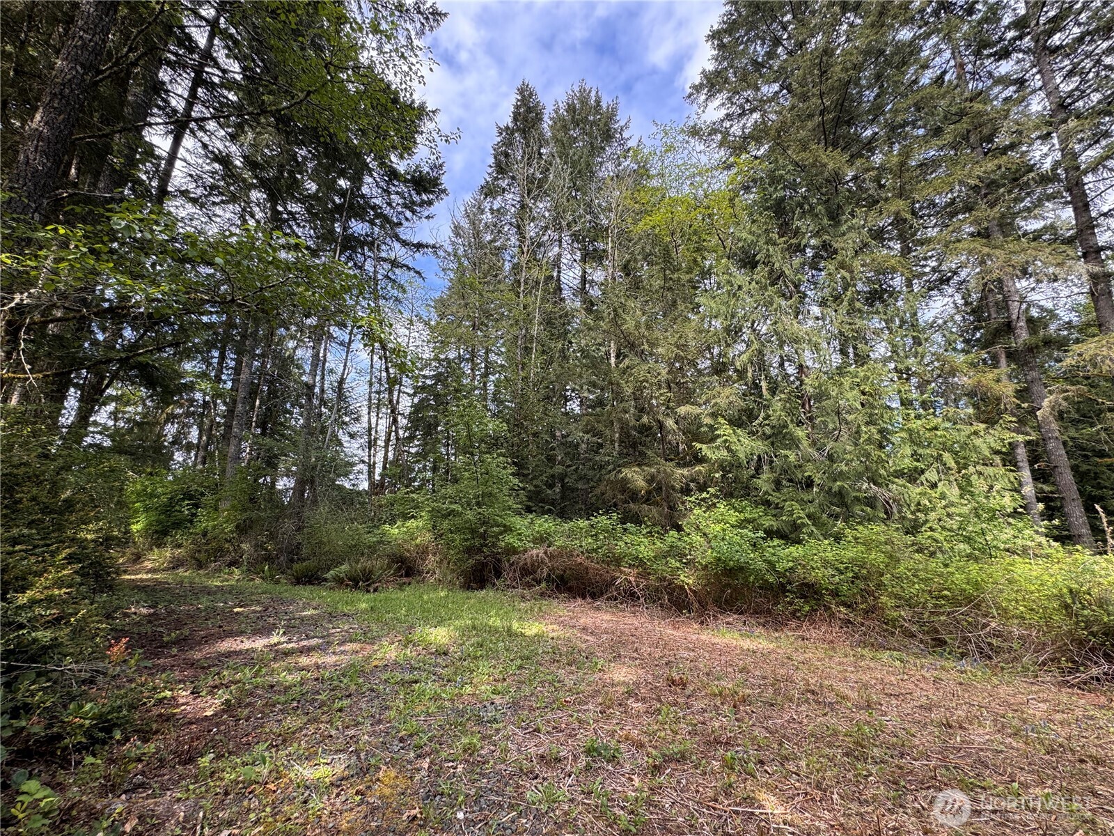 3021 NW Beth Lane Poulsbo WA 98370