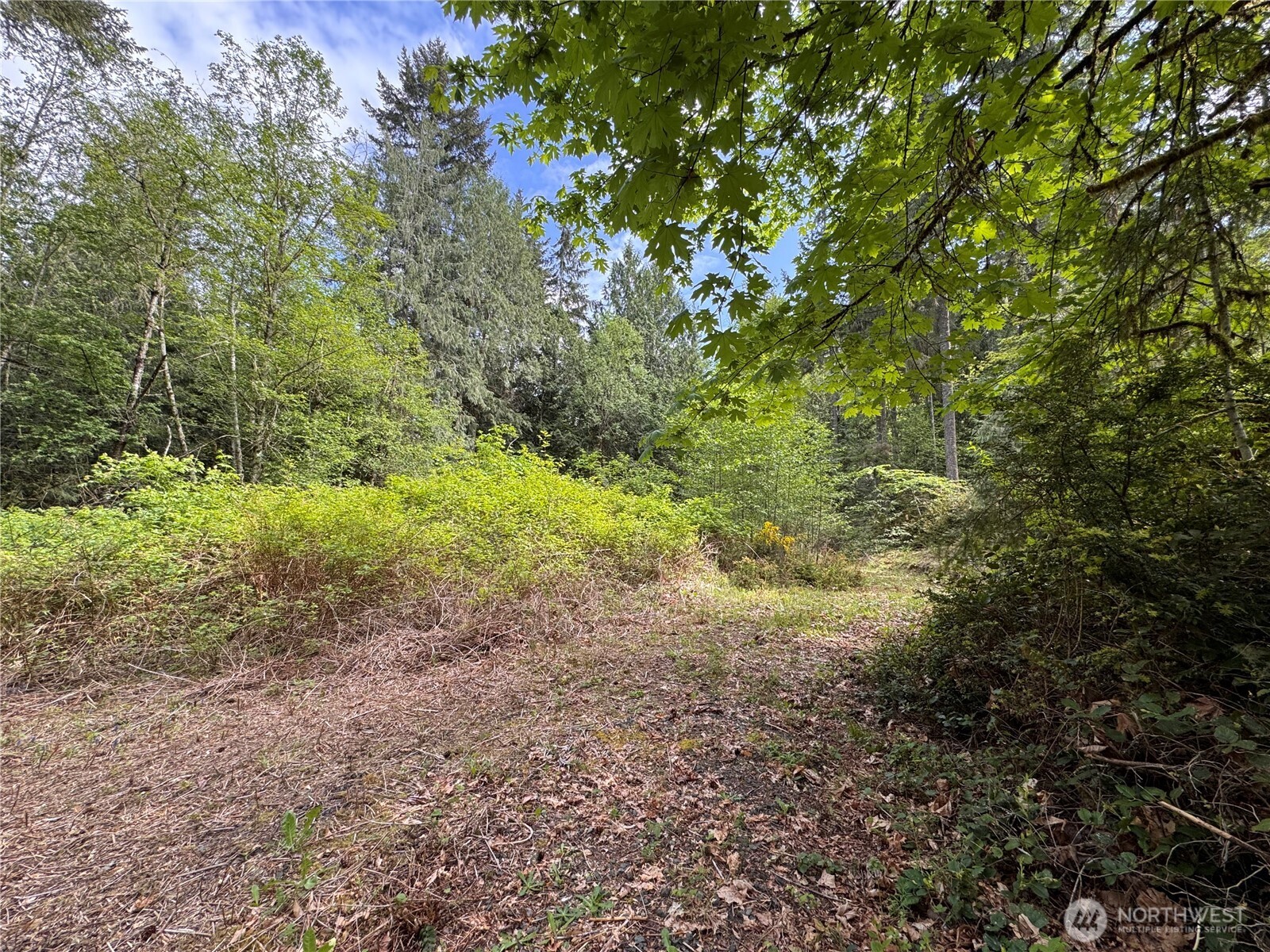 3021 NW Beth Lane Poulsbo WA 98370