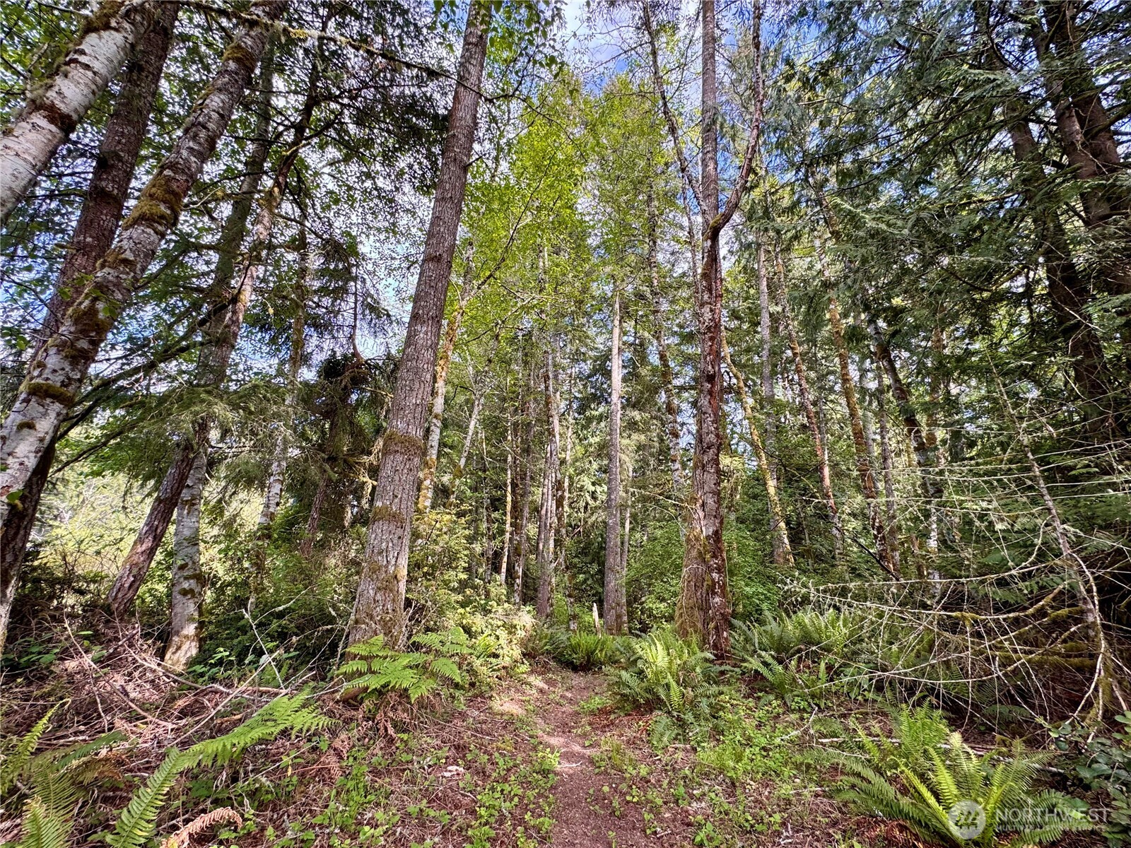 3021 NW Beth Lane Poulsbo WA 98370