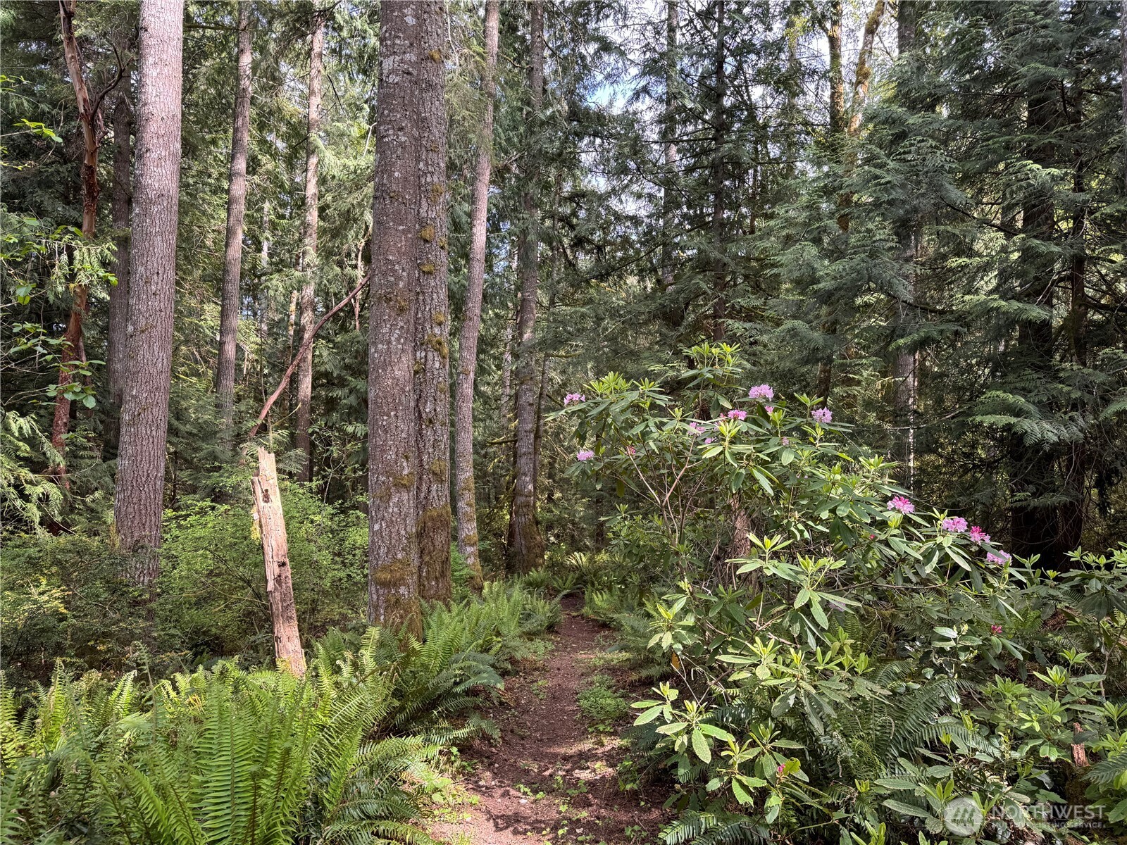 3021 NW Beth Lane Poulsbo WA 98370