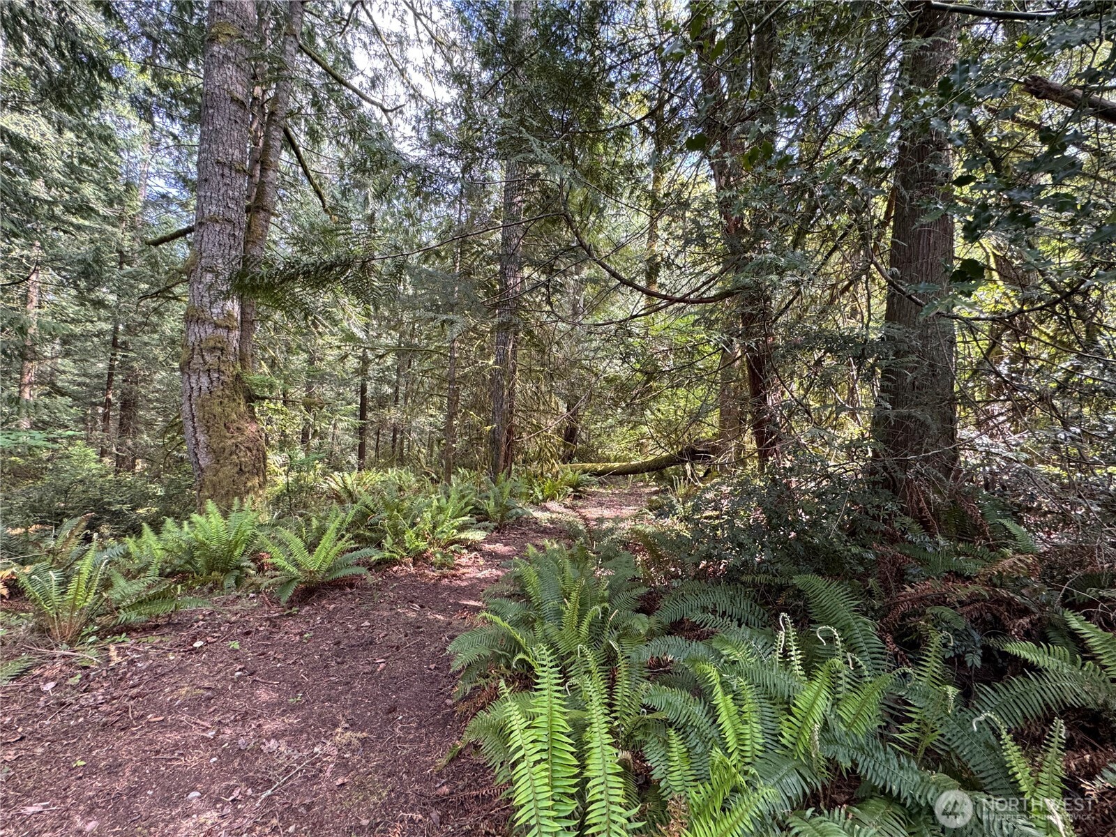 3021 NW Beth Lane Poulsbo WA 98370