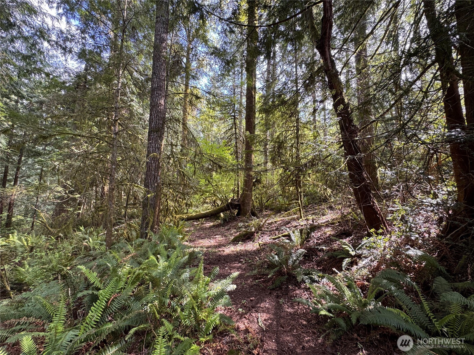3021 NW Beth Lane Poulsbo WA 98370