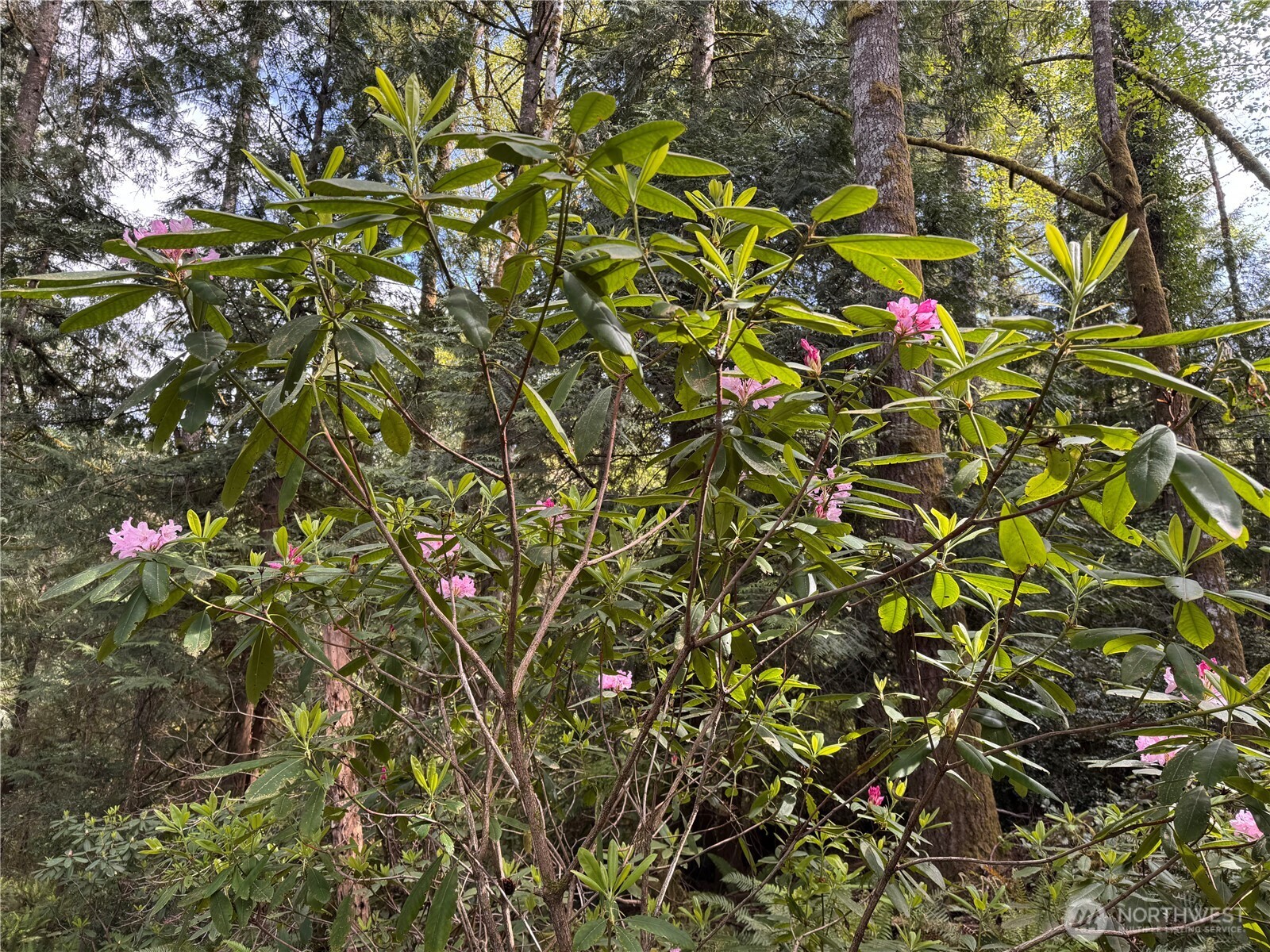 3021 NW Beth Lane Poulsbo WA 98370
