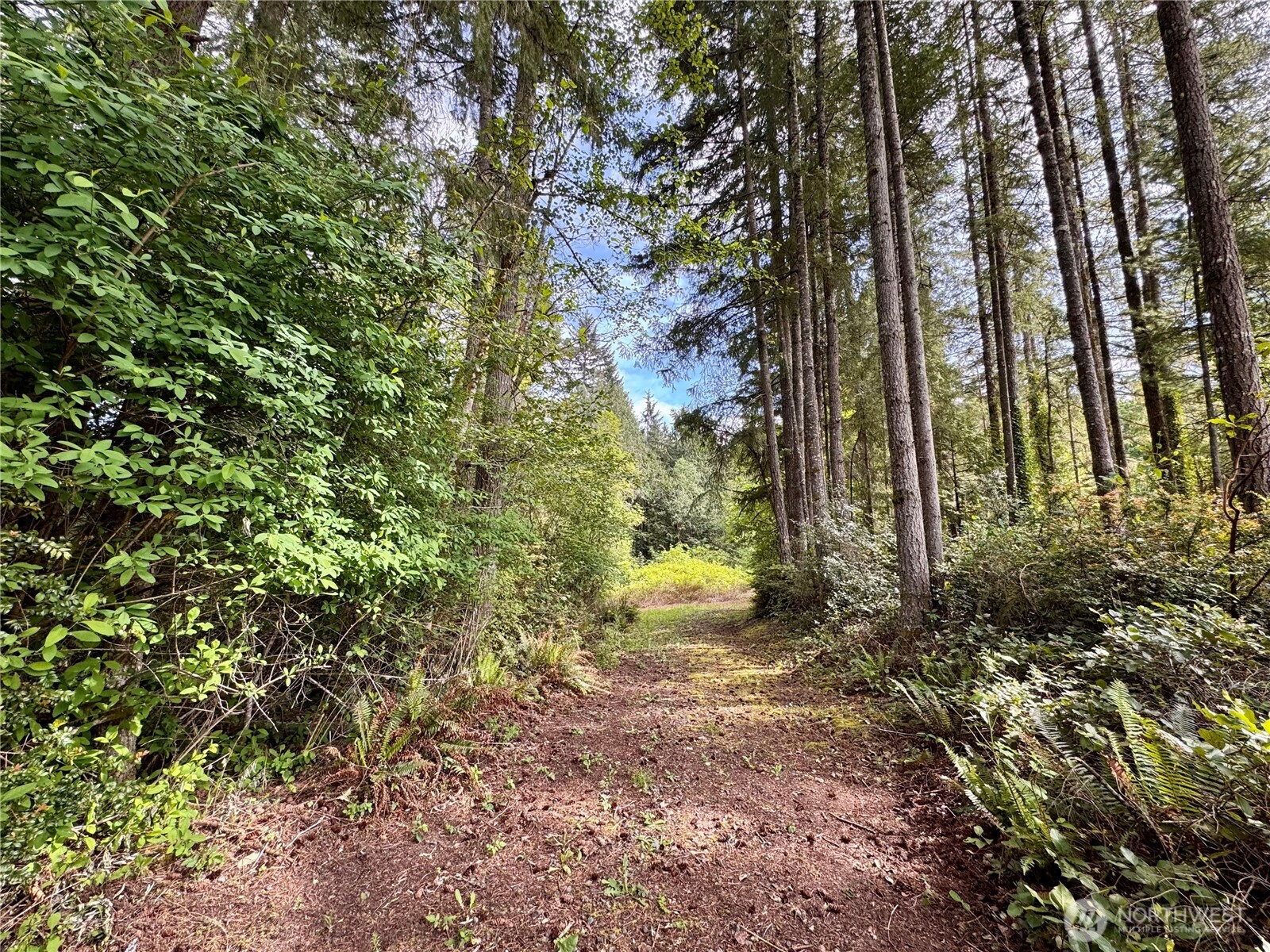 3021 NW Beth Lane Poulsbo WA 98370