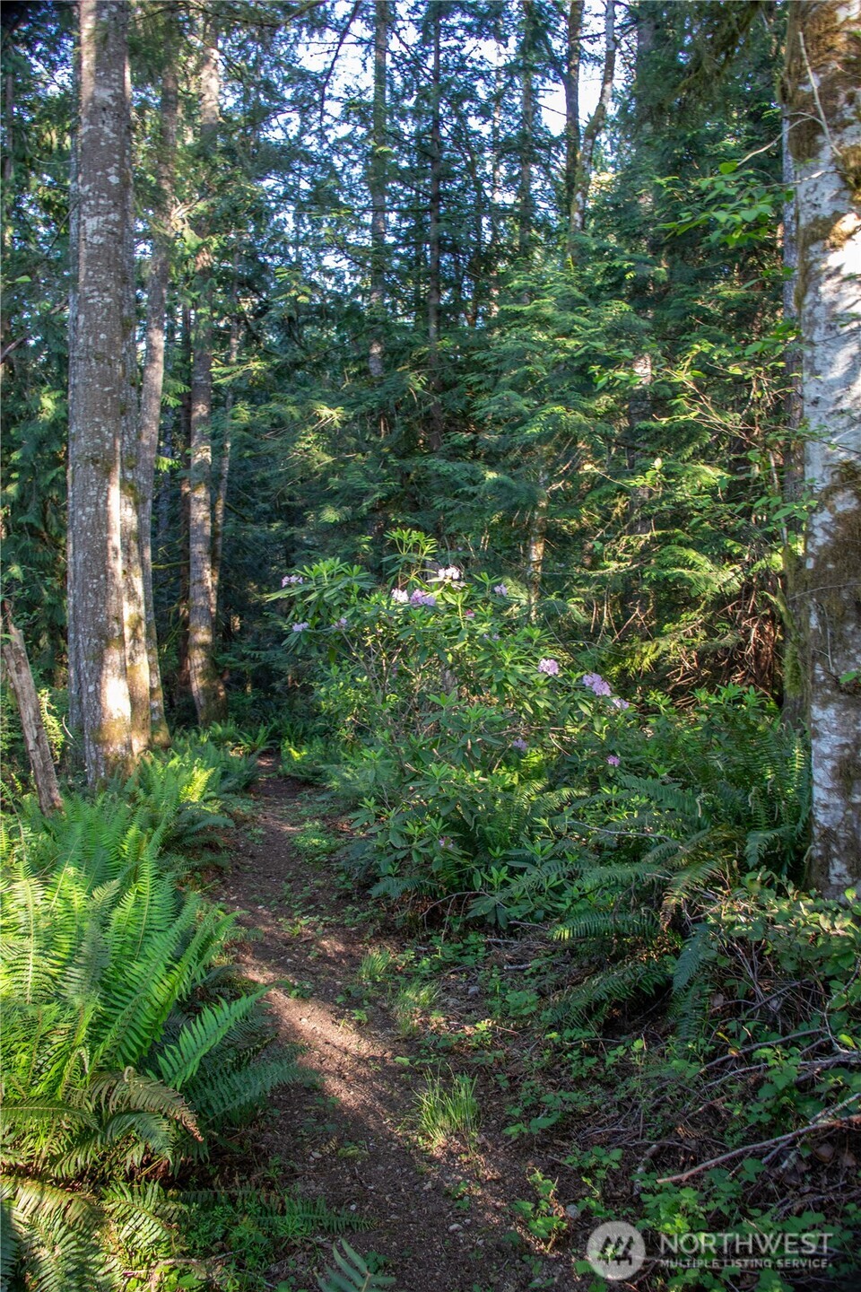 3021 NW Beth Lane Poulsbo WA 98370