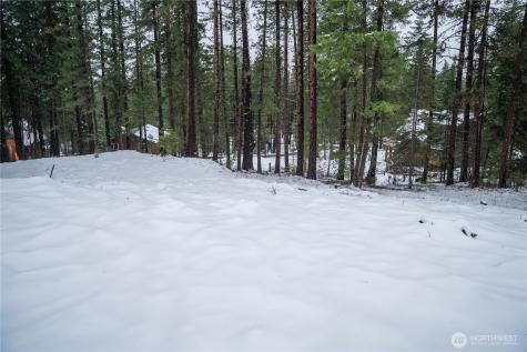 22124 Appaloosa Lane Leavenworth WA 98826