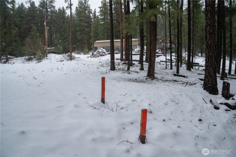 22124 Appaloosa Lane Leavenworth WA 98826