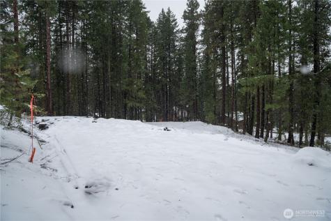 22124 Appaloosa Lane Leavenworth WA 98826