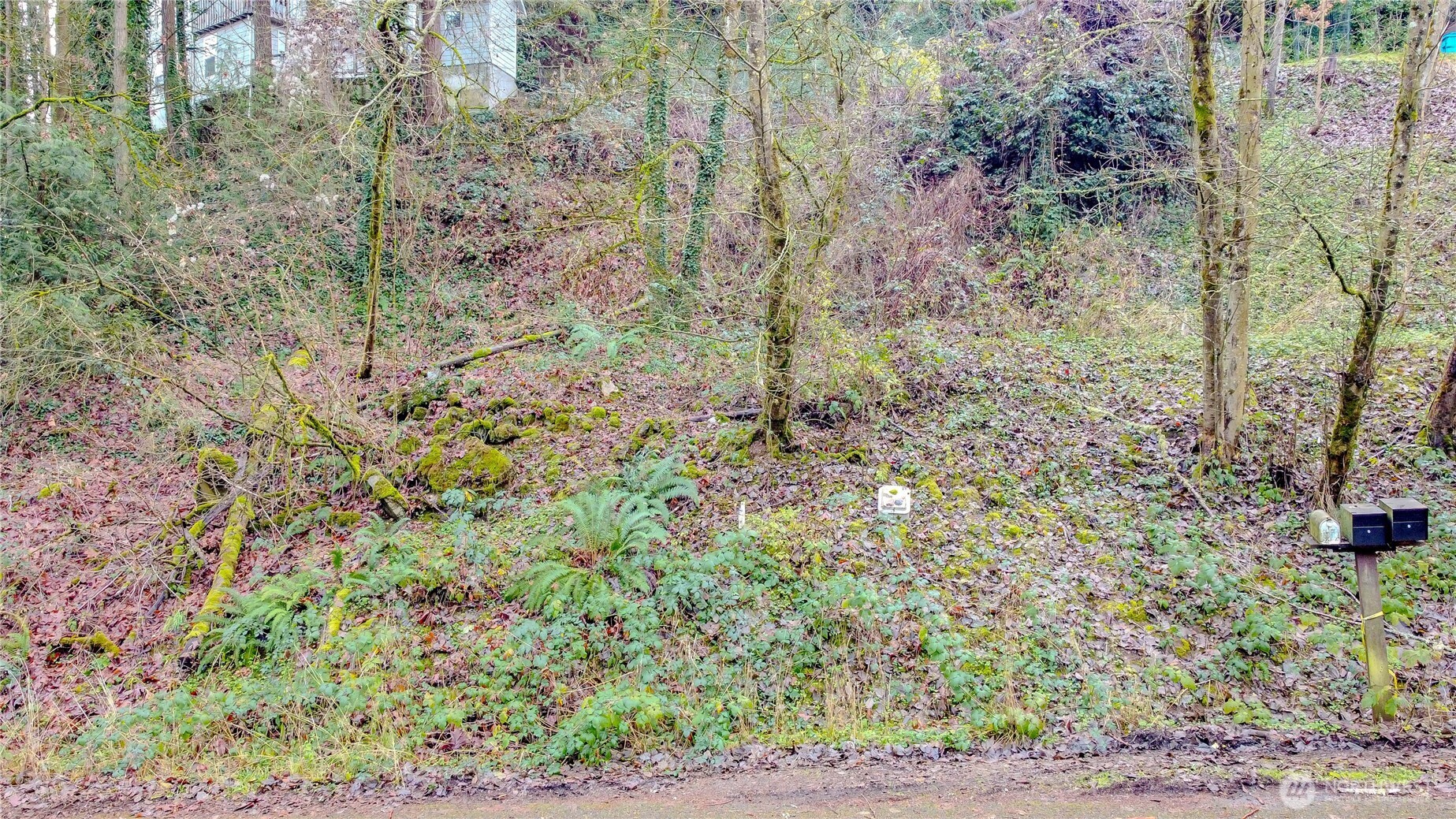 2415 NE 178th Street Shoreline WA 98155