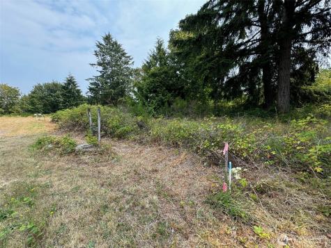 4101 161st Avenue SW Longbranch WA 98351