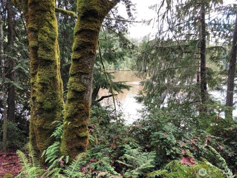4101 161st Avenue SW Longbranch WA 98351
