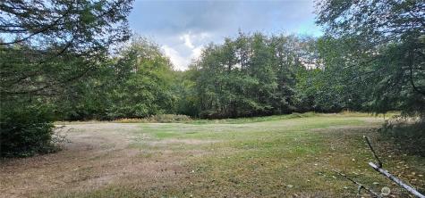 10115 Edgewood Drive Anderson Island WA 98303