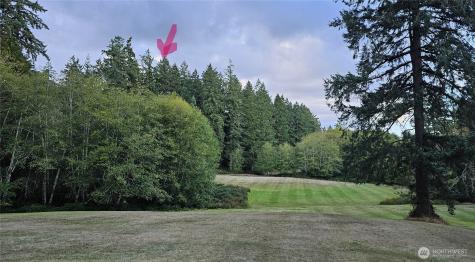 10115 Edgewood Drive Anderson Island WA 98303