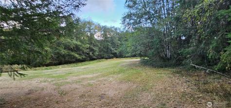 10115 Edgewood Drive Anderson Island WA 98303